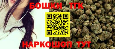 стафф Кандалакша