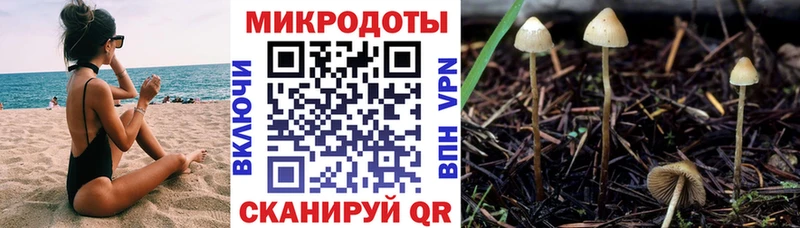 Галлюциногенные грибы Magic Shrooms  Борисоглебск 