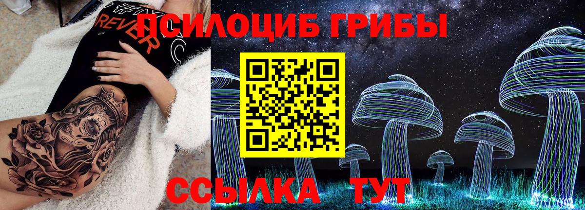 Псилоцибиновые грибы Psilocybe  Борисоглебск 