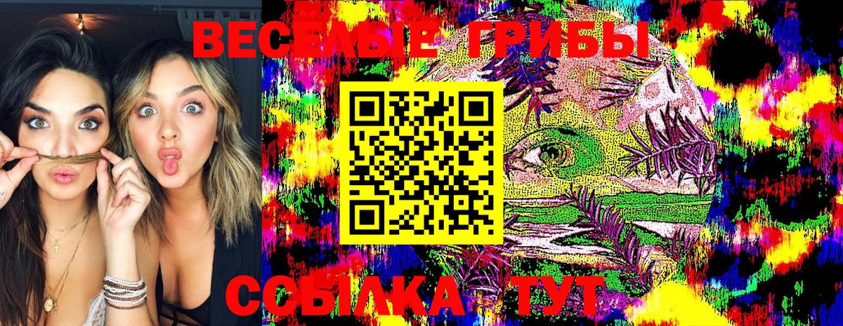 Галлюциногенные грибы Psilocybine cubensis Борисоглебск